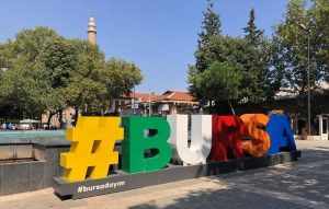 Bursa'nın tüm ilçelerinde profesyonel evden eve nakliyat çözümleri sunan Bursa nakliyat bölgeleri haritası.